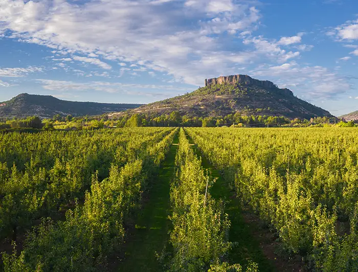 rogue-valley-table-rock