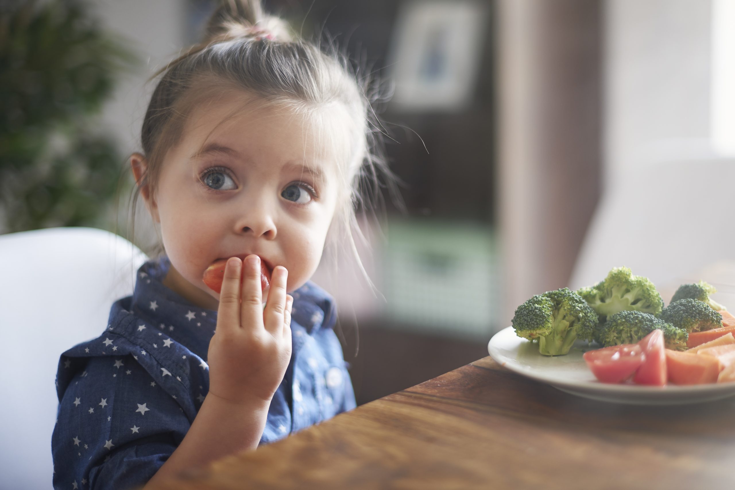 Featured image for “The Vital Role of Nutrition in Early Childhood Development”